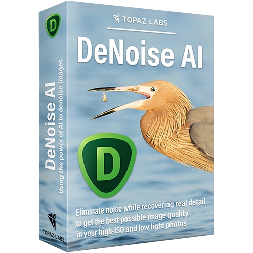 Дистанційне встановлення Topaz DeNoise AI