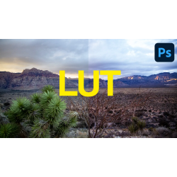 Встановлення LUTs MAGIX Vegas